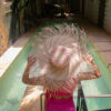 Pava verano Pink
